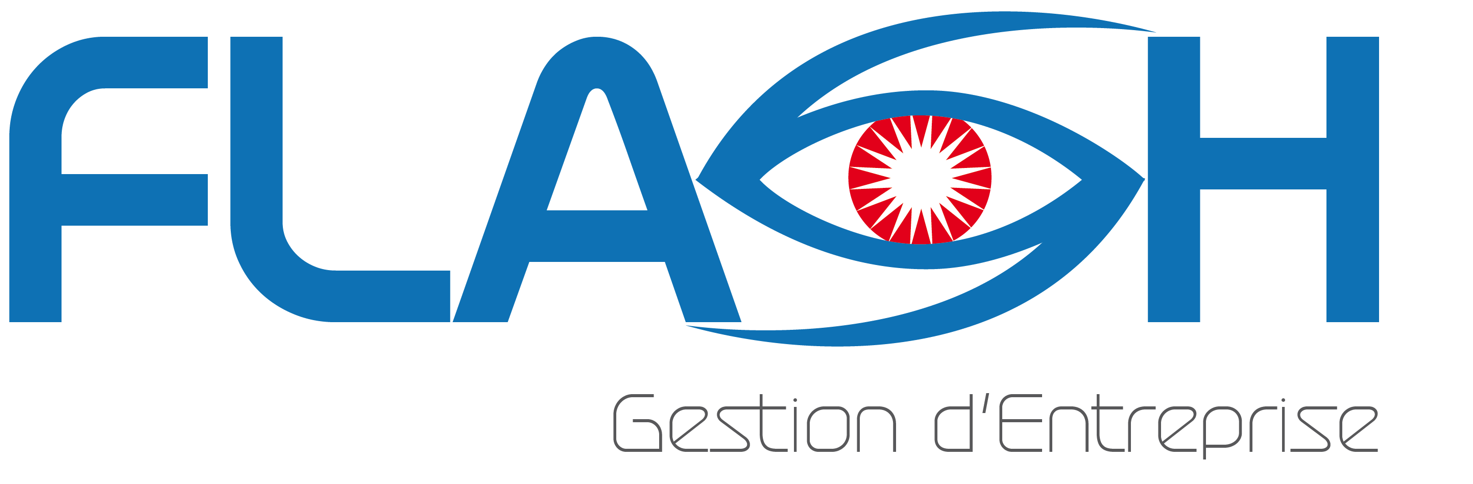 FLASH Gestion